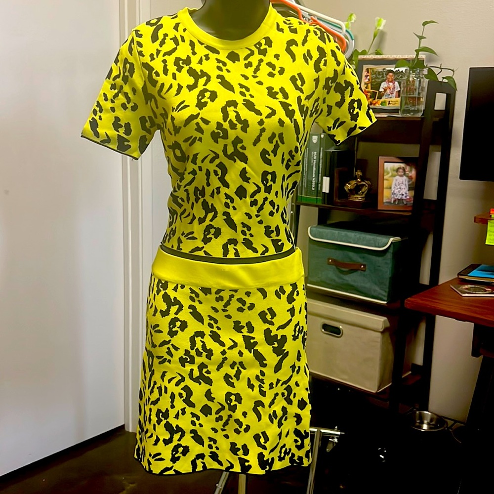 ZARA top and skirt set NWT